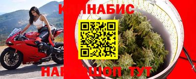 спиды Камышлов