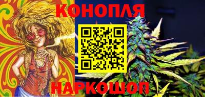 прущие грибы Канаш